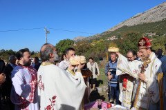 IMG_2371-Large