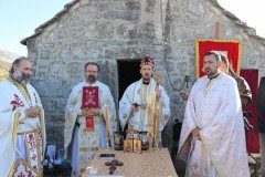 IMG_2390-Large