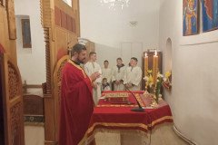 IMG_20220317_153735-Medium