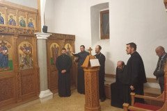IMG_20220317_153749-Medium