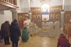 IMG_20220317_153801-Medium