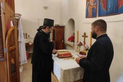 IMG_20220626_160323-Medium