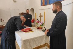 IMG_20220626_160723-Medium