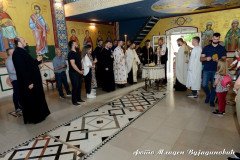 DSC_2700-Medium