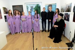DSC_2784-Medium