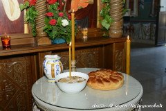 DSC_2799-Medium