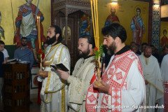 DSC_2828-Medium