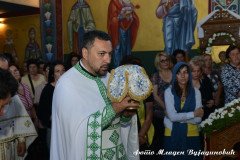 DSC_2908-Medium