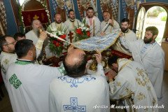 DSC_2915-Medium