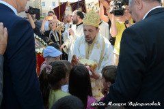 DSC_3052-Medium