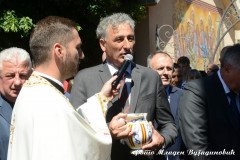 DSC_3078-Medium