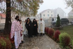 IMG_2404-Medium