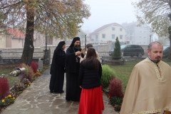 IMG_2407-Medium
