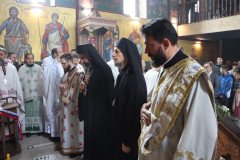 IMG_2411-Medium