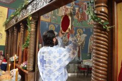 IMG_2436-Medium