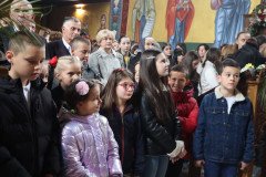 IMG_2532-Medium