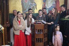 IMG_2533-Medium