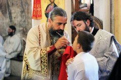 avg-2022-arhijerejska-liturgija-i-slava-eparhije-budimljansko-niksicke-8