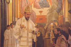 52711773677_648da9062c_c