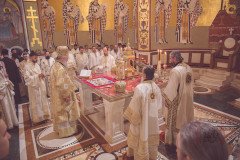 52711774577_d007d1ff40_c