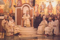 52711789257_e8e316be0f_c