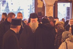 52712288731_0b27c0e1f7_c