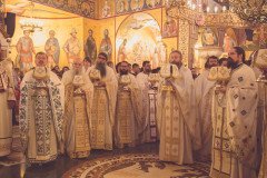 52712290496_6965e42d12_c