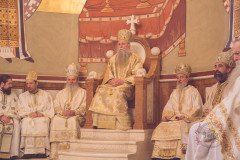 52712296091_02d85e72c4_c