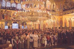 52712296761_ebc5a98490_c