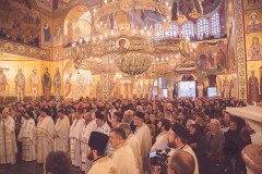 52712548864_6e5c560a43_c