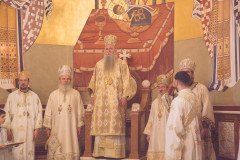 52712557439_9252291985_c