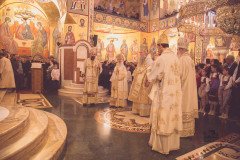 52712570514_574ef73825_c