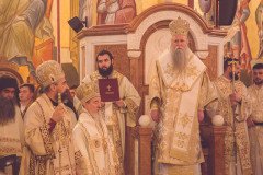 52712575019_163fccf1cd_c