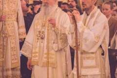 52712705935_2011054422_c