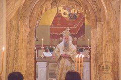 52712718315_6e53b78007_c