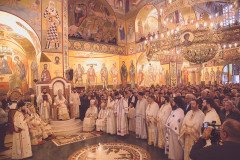 52712729140_c8ae3cc379_c