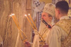 52712775888_acbda8424c_c