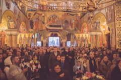 52712779873_d2f488fce8_c