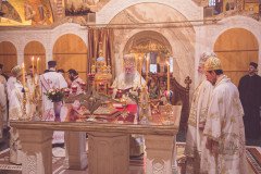 52712782893_934af70693_c