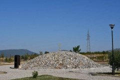 DSC_7817-Medium