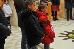 DSC_3206-Medium