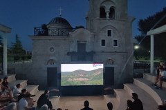 IMG_20220729_204617-Medium