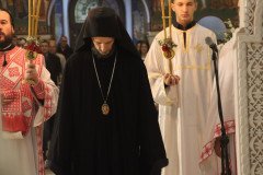 IMG_3952-Medium