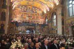 IMG_4028-Medium