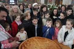 IMG_4060-Medium