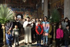 IMG_5150-Medium