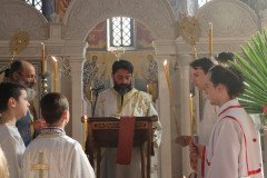 IMG_5153-Medium