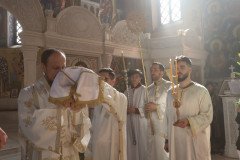 IMG_5180-Medium