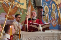IMG_20230311_094651-Medium