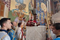 IMG_20230311_094654-Medium
